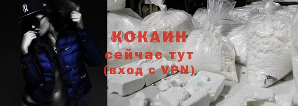 мяу мяу мука Гусев