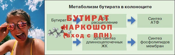 мяу мяу мука Гусев
