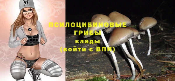 таблы Гусиноозёрск