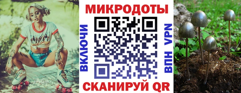 Псилоцибиновые грибы ЛСД  Каменка 